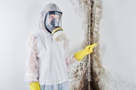 Best Commercial Mold Inspection  in Shenandoah, IA